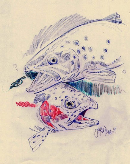 Trout Sketch art print by John Arthur