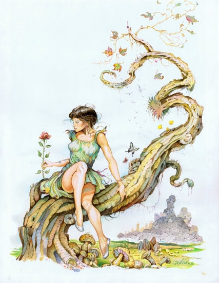 The Last Rose art print by John Arthur
